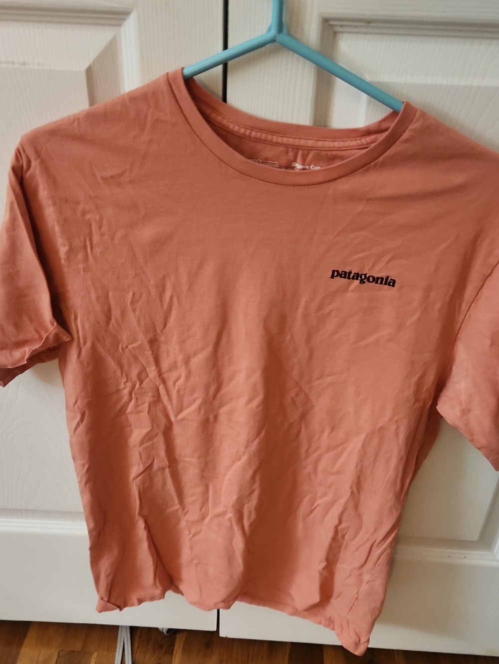 Patagonia Coral Crewneck T-Shirt with Black Logo